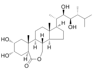 Epibrassinolide (24-Epibrassinolide; B1105; BP55)