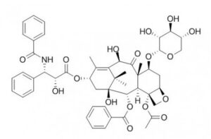 10-Deacetyl-7-xylosyl paclitaxel