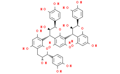 Procyanidin C1