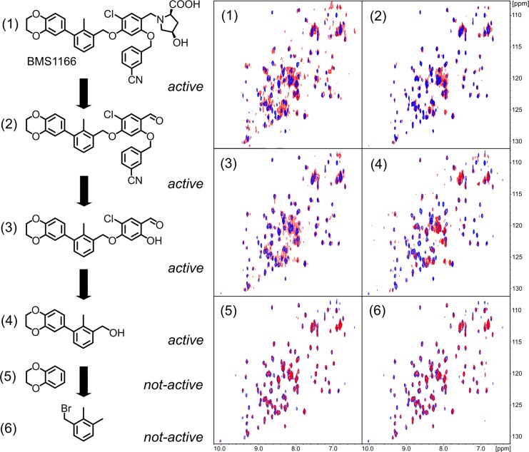 Decomposition of BMS-1166. Oncotarget. 2017 Aug 7;8(42):72167-72181.