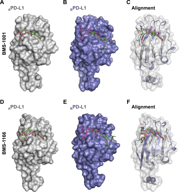 he prediction of BMS-1001 and −1166 binding sites on PD-L1 surface. Oncotarget. 2017 Aug 7;8(42):72167-72181.