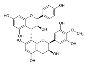 Grape Seed Extract