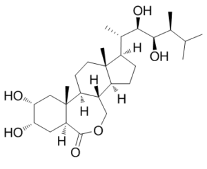 Brassinolide