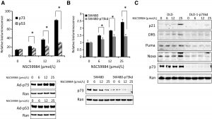 p73 is required for NSC59984 to restore the p53 pathway in mutant p53-expressing tumor cells. Zhang S, et al. Cancer Res. 2015, 75(18), 3842-3852.