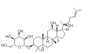 Ginsenoside Rh2