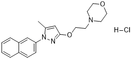 S1RA (E-52862) HCI