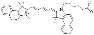 CY5.5 carboxylic acid