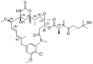 Maytansinoid DM4