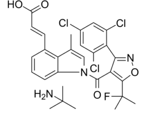 DS-1001B