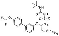 NTP42