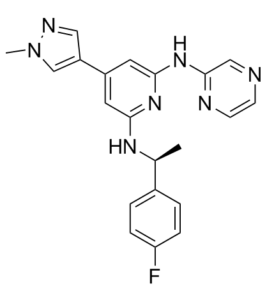 Ilginatinib (NS-018)