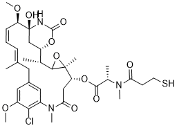 Mertansine (DM1)