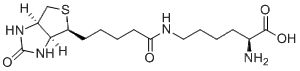 Biocytin