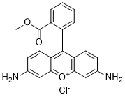 Rhodamine 123 (RH-123; R-22420)