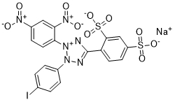 WST-3