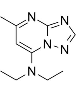 Trapidil (AR12008)