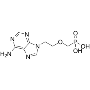 Adefovir (GS-0393)