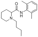 Bupivacaine (SKY 0402)