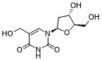 5-Hydroxymethyldeoxyuridine