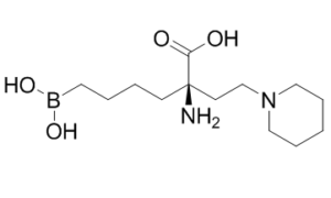 Arginase inhibitor 1