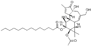 Phorbol 12-myristate 13-acetate (PMA)
