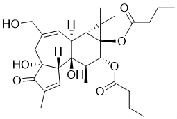 Phorbol 12,13-dibutyrate