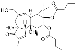 Phorbol 12,13-dibutyrate