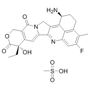 Exatecan mesylate (DX8951)