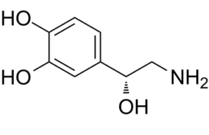 Norepinephrine (Levarterenol; L-Noradrenaline)
