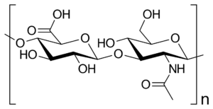 Hyaluronic acid (hyaluronan; hyaluronate; HA)