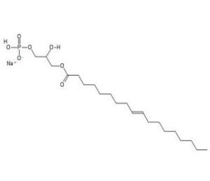 Lysophosphatidic acid