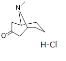 Pseudopelletierine HCl