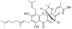 Gambogenic Acid