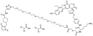 CL2A-SN-38