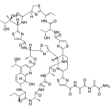 Thiostrepton