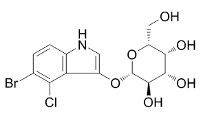 X-GAL (BCIG)