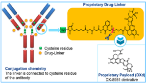 Trastuzumab deruxtecan (DS8201a)