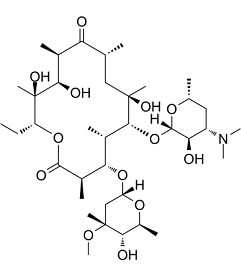 Erythromycin