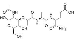 Muramyl Dipeptide