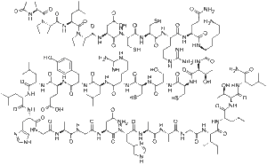 Orexin A human, rat, mouse