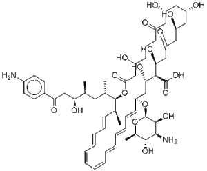 FR-008I