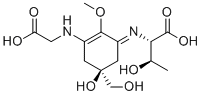 Porphyra 334