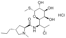 Clindamycin HCl