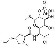 Clindamycin phosphate