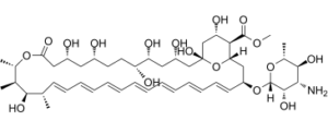 Amphotericin B methyl ester