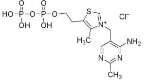 Thiamine pyrophosphate