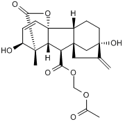 GA3-AM