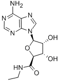 5′-N-Ethylcarboxamidoadenosine