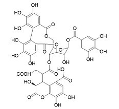 Neochebulagic acid