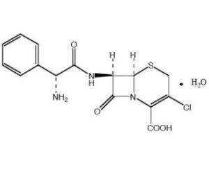 Cefaclor monohydrate